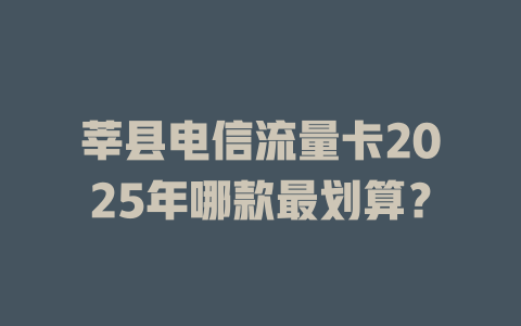 莘县电信流量卡2025年哪款最划算？