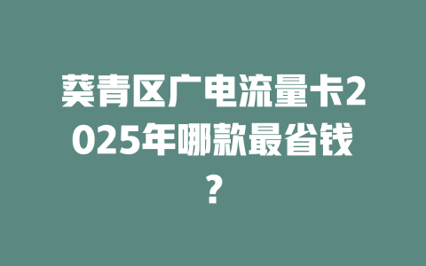 葵青区广电流量卡2025年哪款最省钱？
