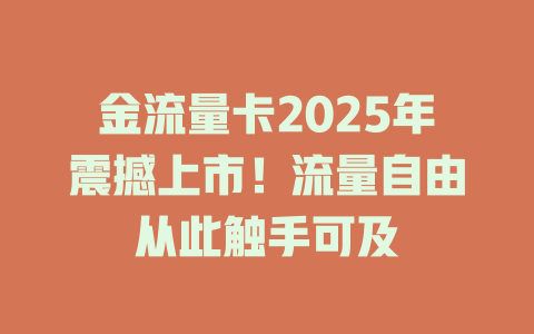 金流量卡2025年震撼上市！流量自由从此触手可及