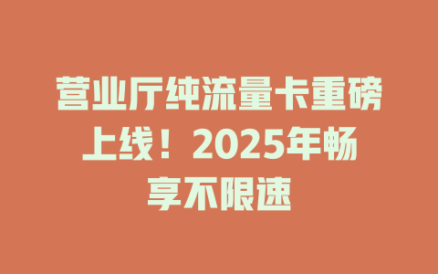 营业厅纯流量卡重磅上线！2025年畅享不限速