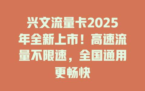 兴文流量卡2025年全新上市！高速流量不限速，全国通用更畅快