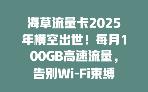 海草流量卡2025年横空出世！每月100GB高速流量，告别Wi-Fi束缚！