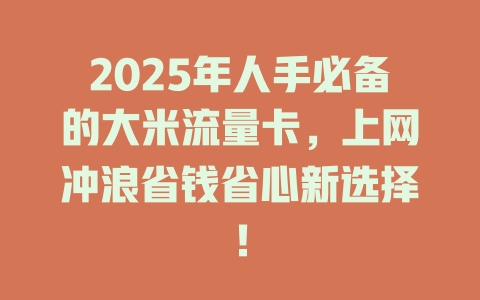 2025年人手必备的大米流量卡，上网冲浪省钱省心新选择！