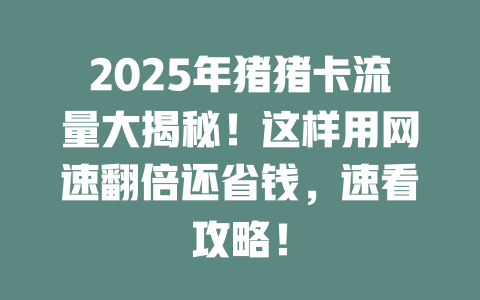 2025年猪猪卡流量大揭秘！这样用网速翻倍还省钱，速看攻略！
