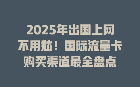2025年出国上网不用愁！国际流量卡购买渠道最全盘点