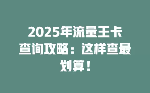 2025年流量王卡查询攻略：这样查最划算！