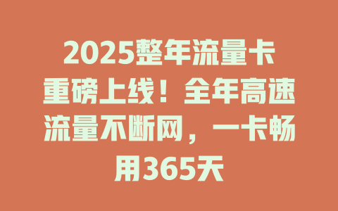 2025整年流量卡重磅上线！全年高速流量不断网，一卡畅用365天