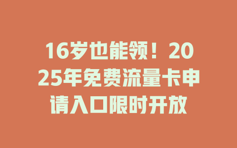 16岁也能领！2025年免费流量卡申请入口限时开放