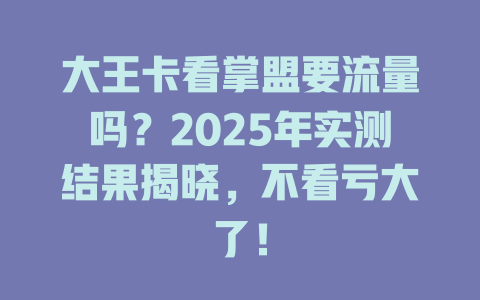 大王卡看掌盟要流量吗？2025年实测结果揭晓，不看亏大了！