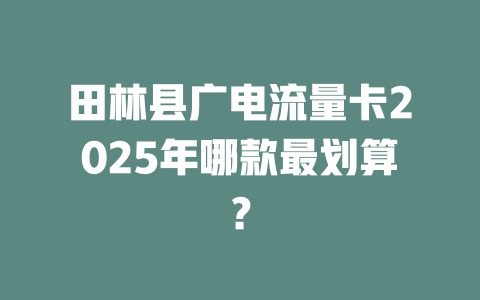 田林县广电流量卡2025年哪款最划算？