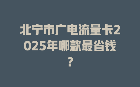 北宁市广电流量卡2025年哪款最省钱？