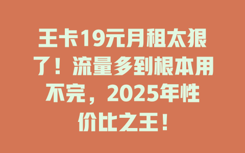 王卡19元月租太狠了！流量多到根本用不完，2025年性价比之王！