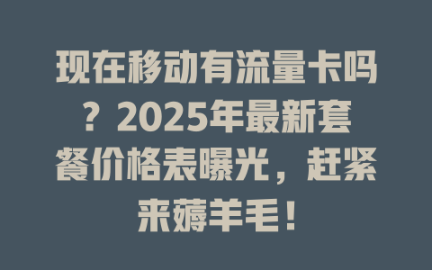 现在移动有流量卡吗？2025年最新套餐价格表曝光，赶紧来薅羊毛！