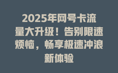 2025年网号卡流量大升级！告别限速烦恼，畅享极速冲浪新体验