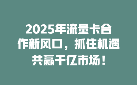 2025年流量卡合作新风口，抓住机遇共赢千亿市场！