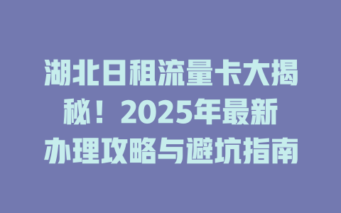 湖北日租流量卡大揭秘！2025年最新办理攻略与避坑指南