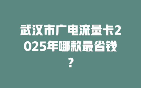 武汉市广电流量卡2025年哪款最省钱？