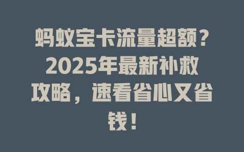 蚂蚁宝卡流量超额？2025年最新补救攻略，速看省心又省钱！
