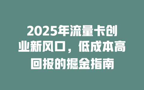 2025年流量卡创业新风口，低成本高回报的掘金指南