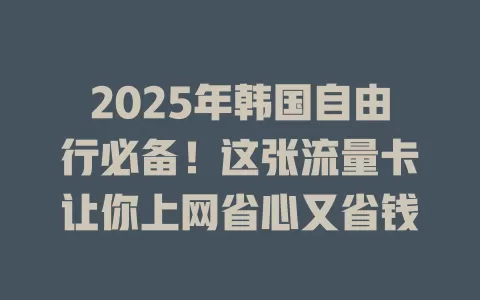 2025年韩国自由行必备！这张流量卡让你上网省心又省钱