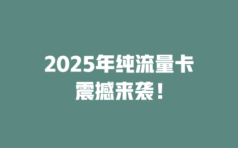 2025年纯流量卡震撼来袭！