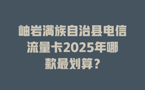 岫岩满族自治县电信流量卡2025年哪款最划算？