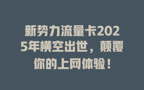新势力流量卡2025年横空出世，颠覆你的上网体验！