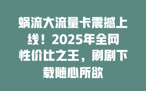 蜗流大流量卡震撼上线！2025年全网性价比之王，刷剧下载随心所欲