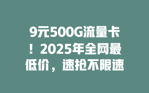 9元500G流量卡！2025年全网最低价，速抢不限速