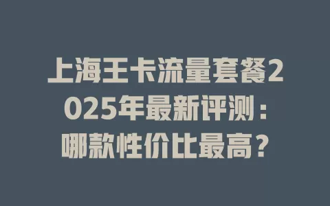 上海王卡流量套餐2025年最新评测：哪款性价比最高？