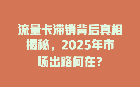 流量卡滞销背后真相揭秘，2025年市场出路何在？
