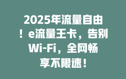 2025年流量自由！e流量王卡，告别Wi-Fi，全网畅享不限速！