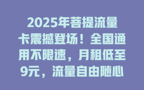2025年菩提流量卡震撼登场！全国通用不限速，月租低至9元，流量自由随心享！