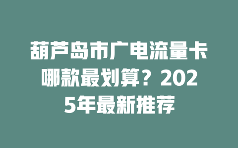 葫芦岛市广电流量卡哪款最划算？2025年最新推荐