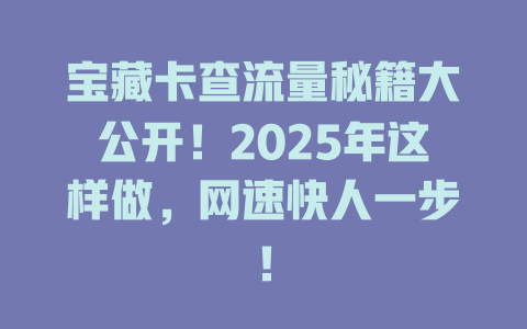 宝藏卡查流量秘籍大公开！2025年这样做，网速快人一步！