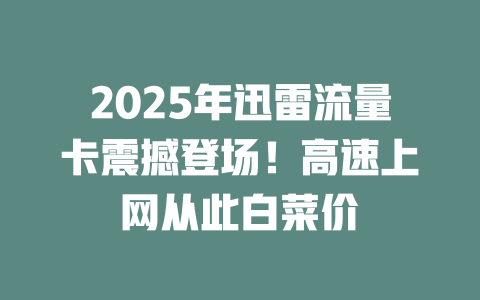 2025年迅雷流量卡震撼登场！高速上网从此白菜价
