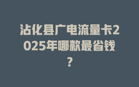 沾化县广电流量卡2025年哪款最省钱？