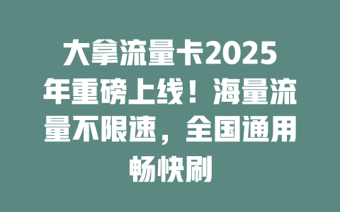 大拿流量卡2025年重磅上线！海量流量不限速，全国通用畅快刷
