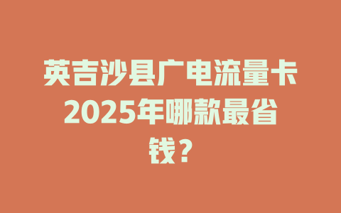 英吉沙县广电流量卡2025年哪款最省钱？