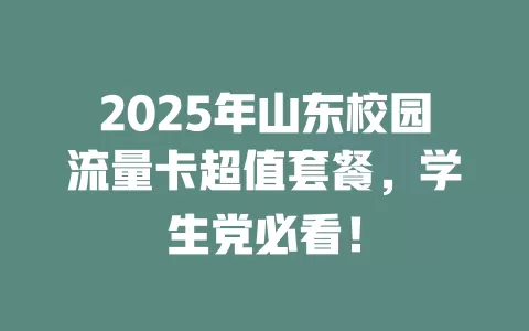 2025年山东校园流量卡超值套餐，学生党必看！