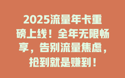 2025流量年卡重磅上线！全年无限畅享，告别流量焦虑，抢到就是赚到！