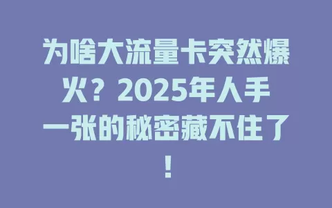 为啥大流量卡突然爆火？2025年人手一张的秘密藏不住了！