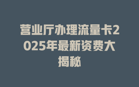 营业厅办理流量卡2025年最新资费大揭秘