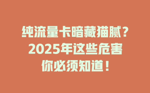 纯流量卡暗藏猫腻？2025年这些危害你必须知道！