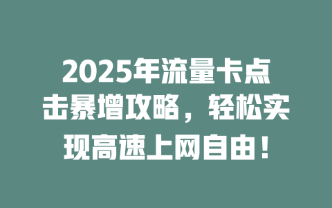 2025年流量卡点击暴增攻略，轻松实现高速上网自由！