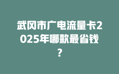 武冈市广电流量卡2025年哪款最省钱？