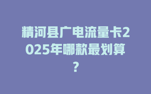 精河县广电流量卡2025年哪款最划算？