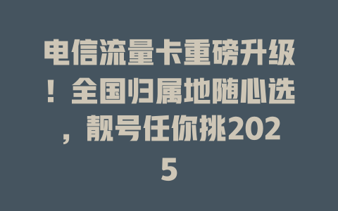 电信流量卡重磅升级！全国归属地随心选，靓号任你挑2025