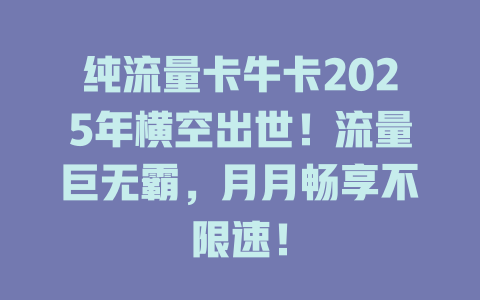 纯流量卡牛卡2025年横空出世！流量巨无霸，月月畅享不限速！