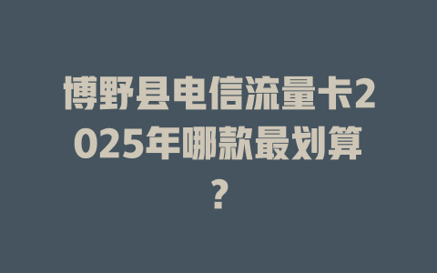 博野县电信流量卡2025年哪款最划算？
